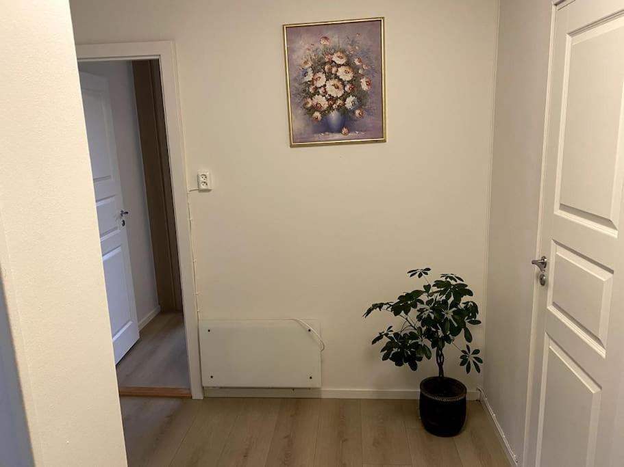 Lovely 2 Bedroom Apartmen With Free Parking Bergen Kültér fotó